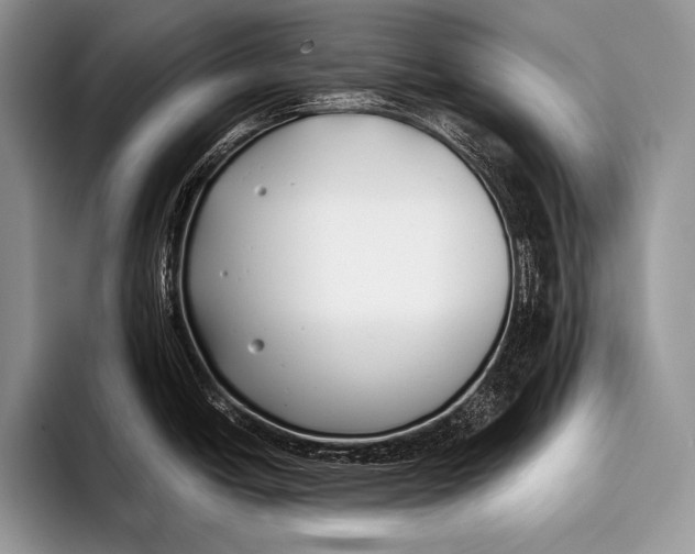 X0000096201438200802081531