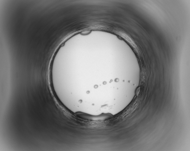 X0000096201439200802081531