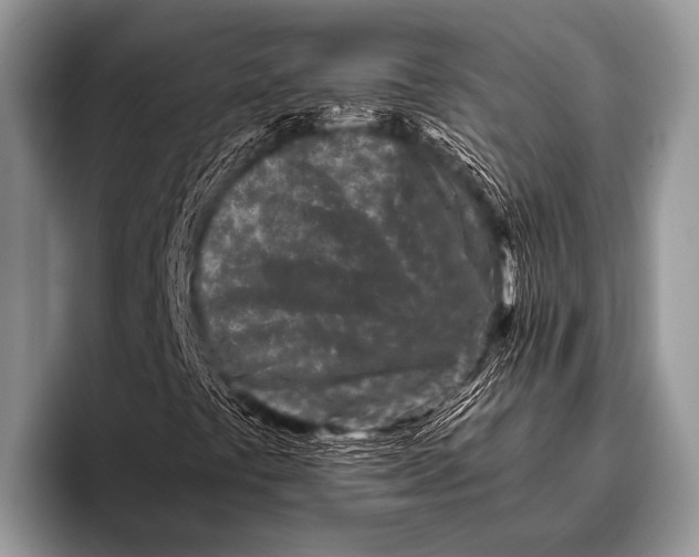 X0000096201441200802081531