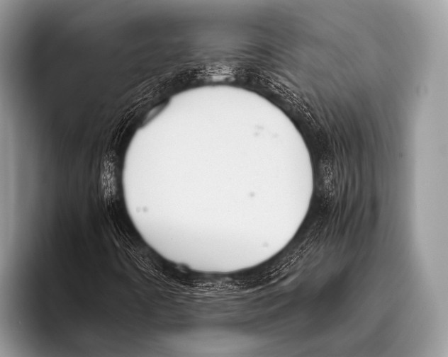 X0000096201442200802081531