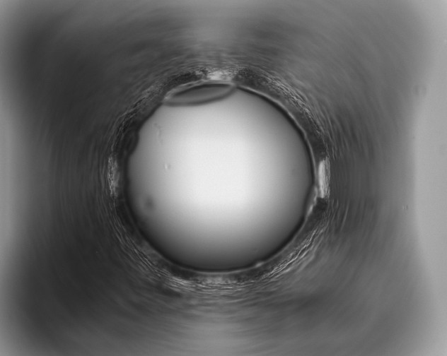 X0000096201443200802081531