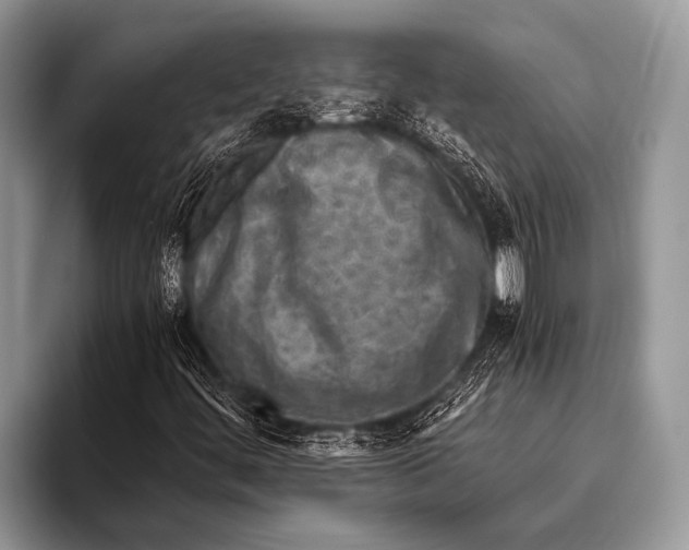 X0000096201444200802081530