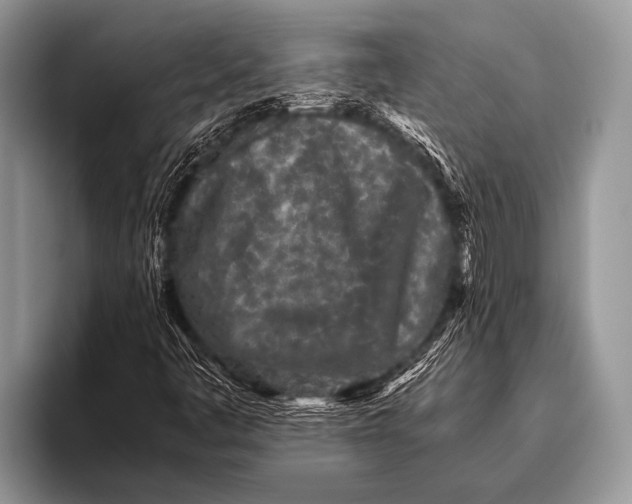 X0000096201445200802081530