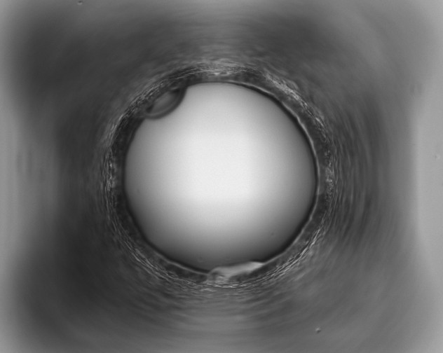 X0000096201447200802081530