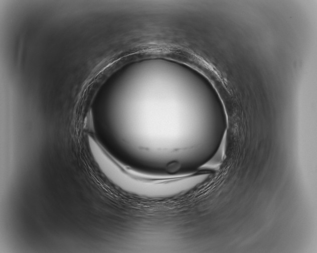 X0000096201448200802081530