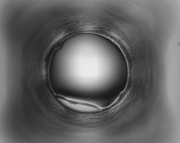 X0000096201450200802081530