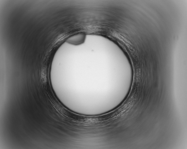 X0000096201451200802081530