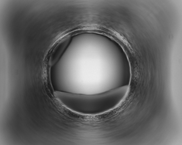 X0000096201456200802081530