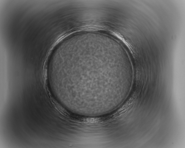 X0000096201459200802081530