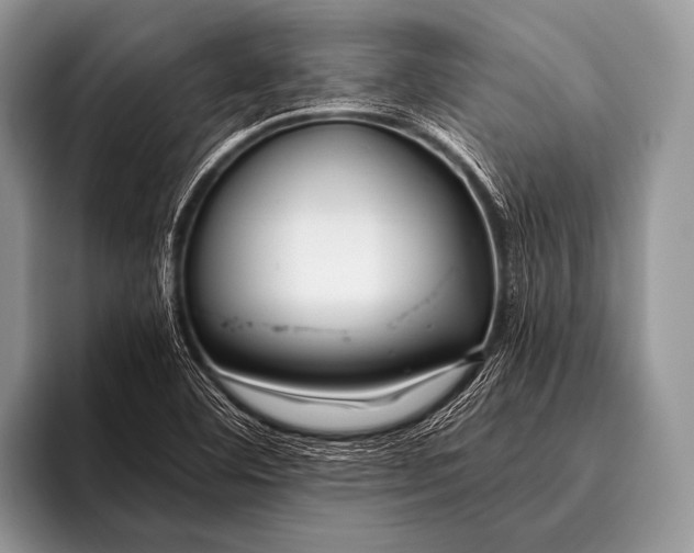 X0000096201460200802081530