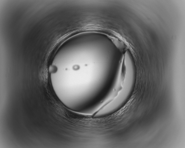 X0000096201461200802081530