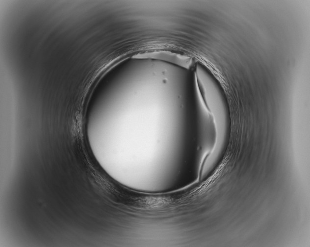 X0000096201465200802081530