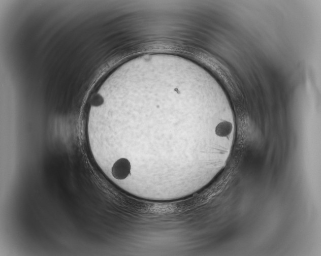 X0000096201466200802081530