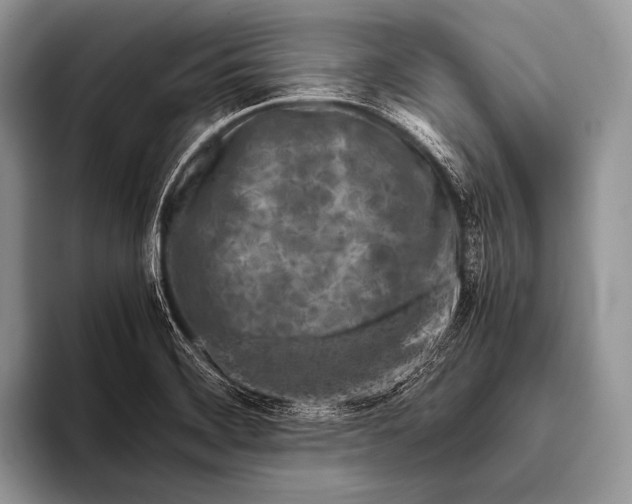 X0000096201468200802081530