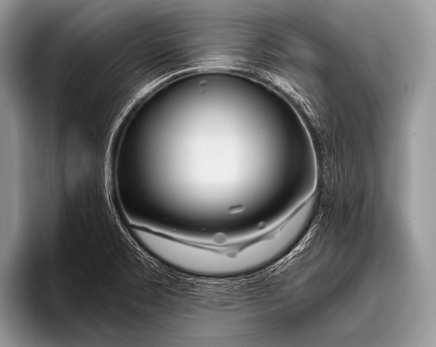 X0000096201469200802081530