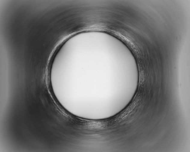 X0000096201470200802081530