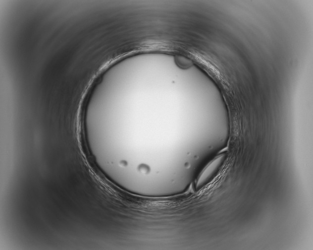 X0000096201471200802081530