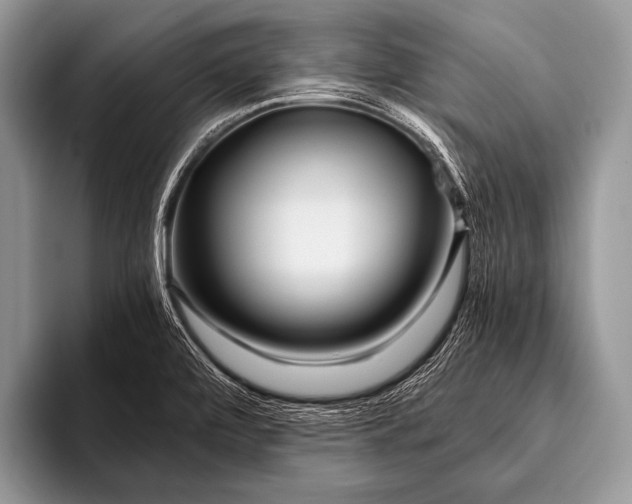 X0000096201472200802081530