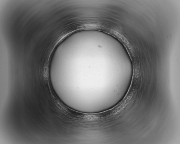 X0000096201473200802081530