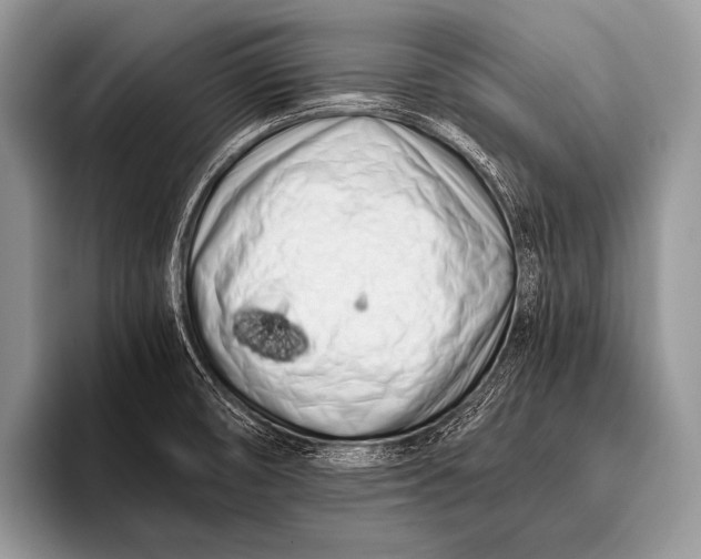 X0000096201474200802081530