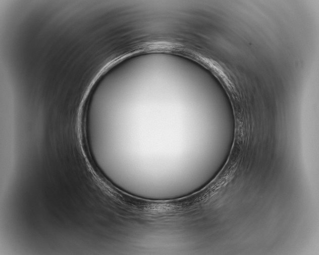 X0000096201475200802081530