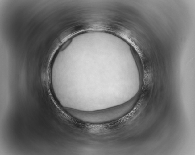 X0000096201477200802081530