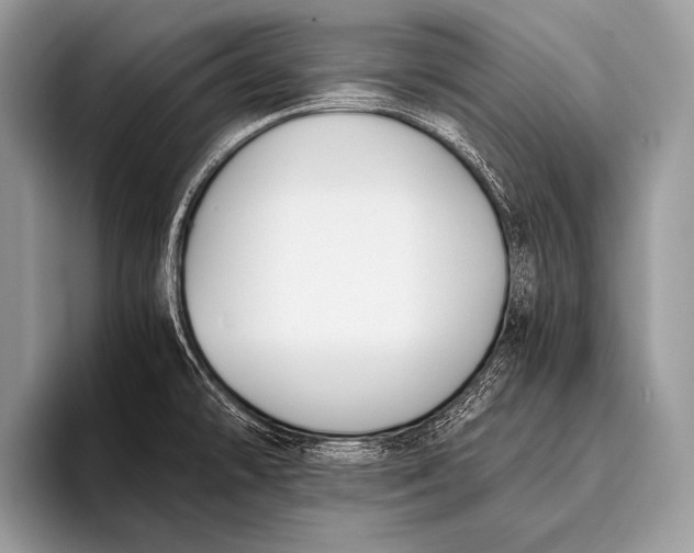 X0000096201478200802081530