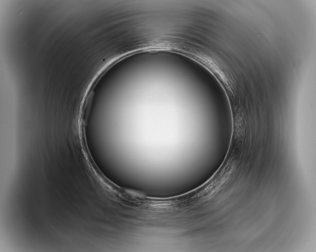 X0000096201484200802081530