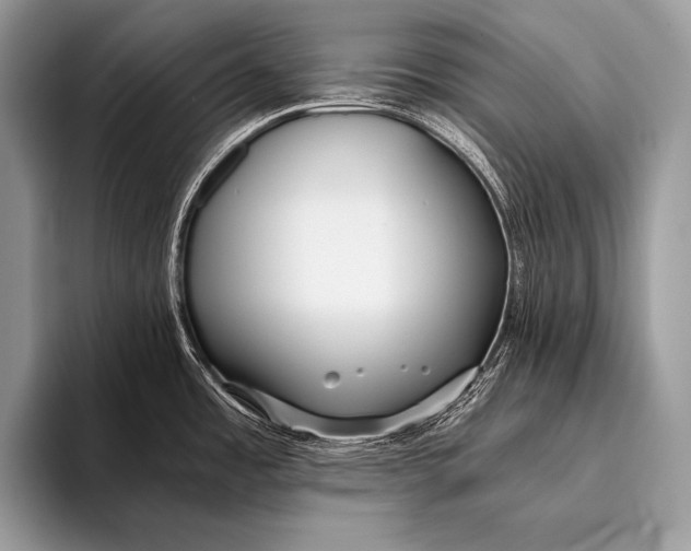 X0000096201485200802081530