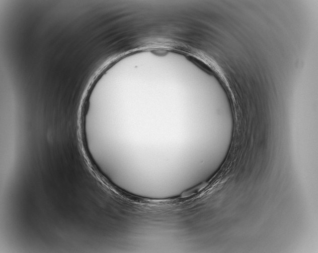 X0000096201488200802081530