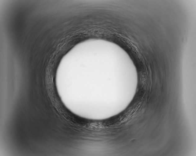 X0000096201489200802081529