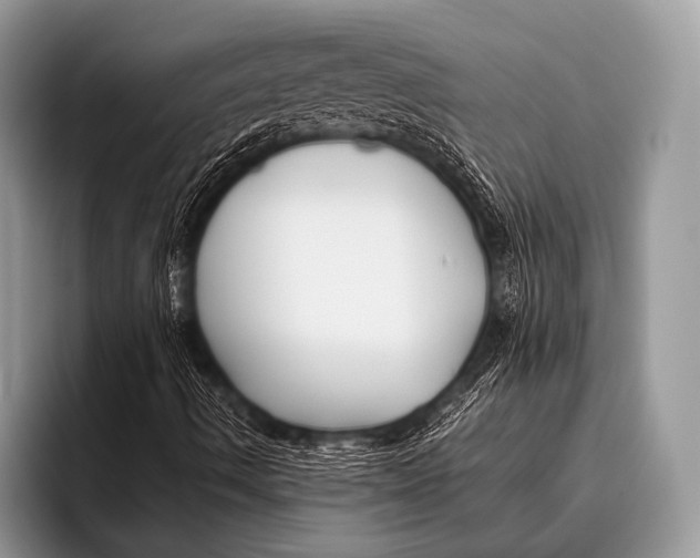 X0000096201490200802081529