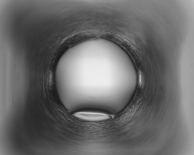 X0000096201492200802081529