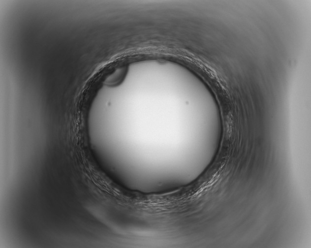 X0000096201494200802081529