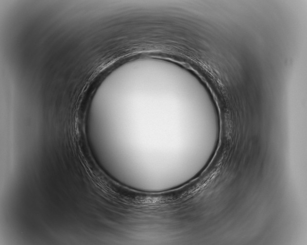 X0000096201497200802081529