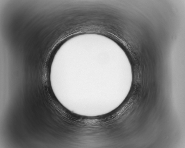 X0000096201498200802081529