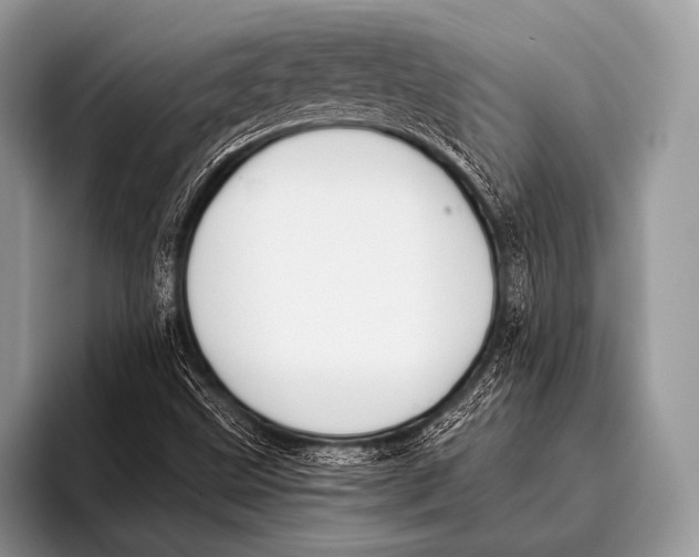 X0000096201499200802081529