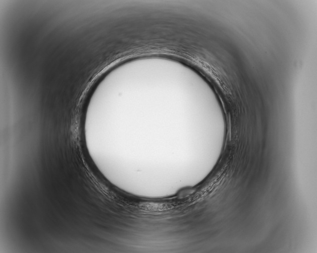 X0000096201500200802081529