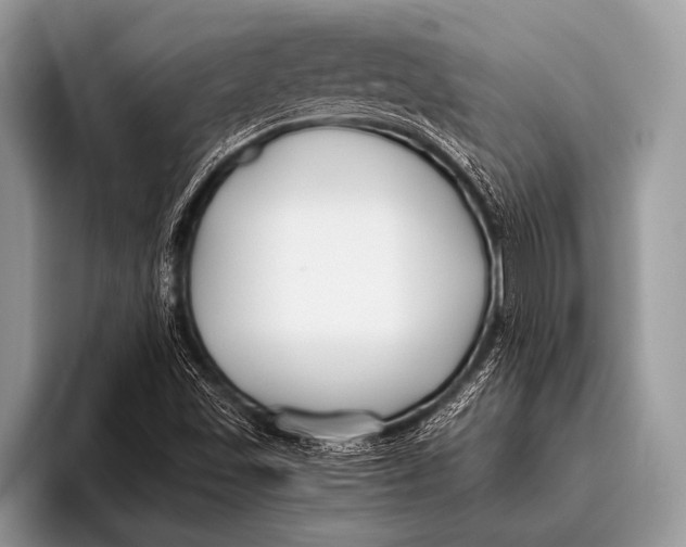 X0000096201501200802081529