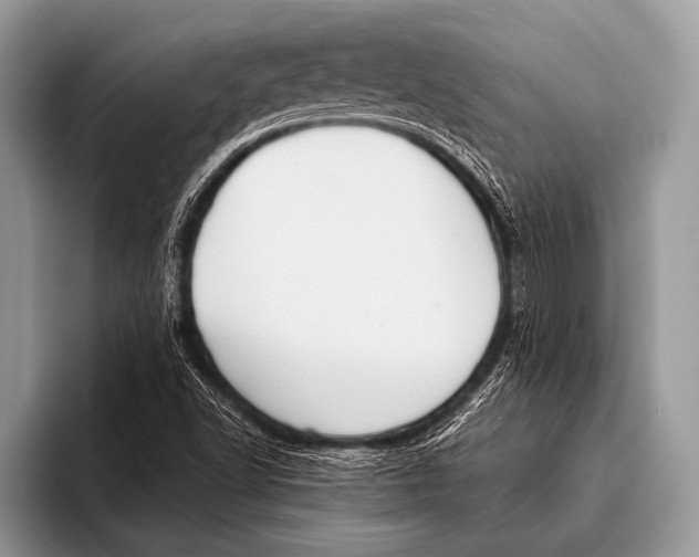 X0000096201502200802081529