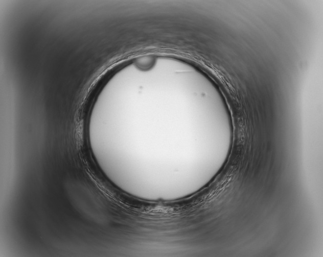 X0000096201503200802081529