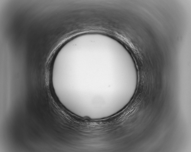 X0000096201504200802081529