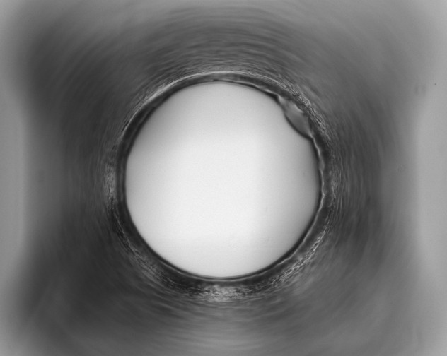 X0000096201505200802081530