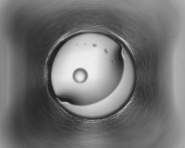 X0000096201506200802081530