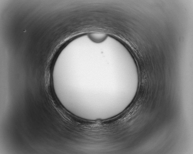 X0000096201507200802081530