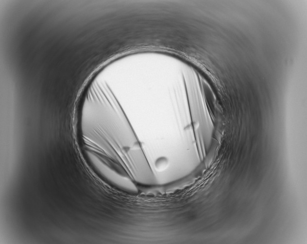 X0000096201508200802081530