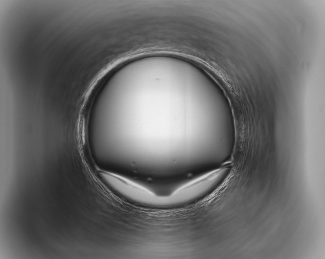 X0000096201510200802081530