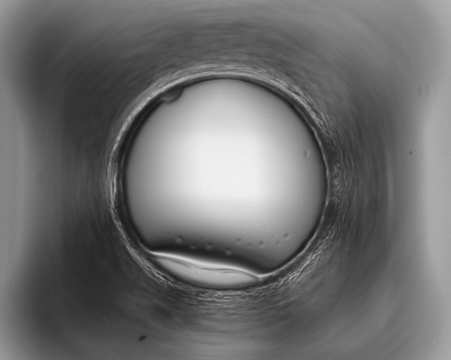 X0000096201511200802081530