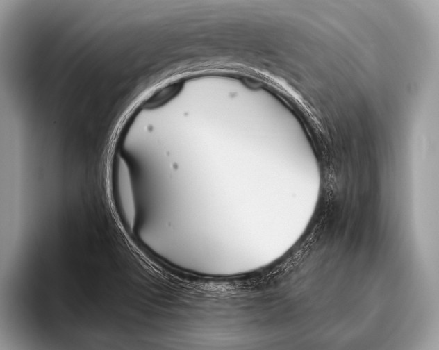 X0000096201512200802081530