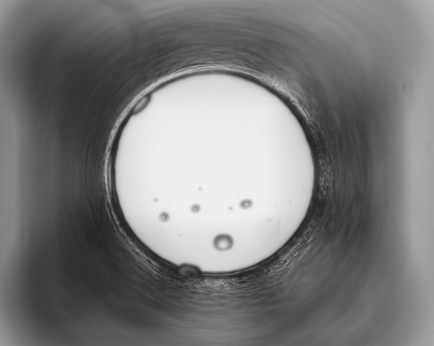 X0000096201516200802081530